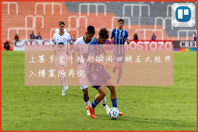 上赛季金牛精彩瞬间回顾五大经典入樽震撼再现